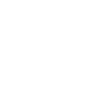Salamandre