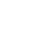 1998 Limited Edition