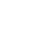1999 Édition Limitée
