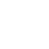 1996 Édition limitée