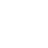 1991 Limited Edition