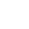 1995 Édition limitée