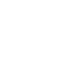 2000 Limited Edition