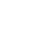 2006 Limited Edition