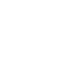 2007 Limited Edition