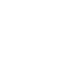 2008 Limited Edition