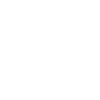 2013 Limited Edition