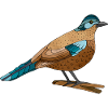 Oiseau