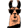 Llama with sunglasses