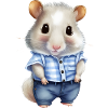 Cute hamster