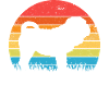 Shar Pei