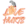 Love Hurts Parrot Bite