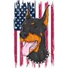 Doberman Dog USA Flag