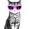katze mit rosaroter brille