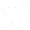 Dove of Peace Dove Peace