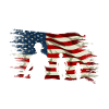 Veterans' Day Patriotic Days