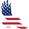 America Eagle
