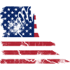 Flag USA Eagle