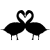 love swan