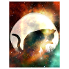 Stars and planets space cat