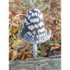 magpie fungus also magpie inkcap