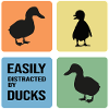 Collection canard Amants canard Erpel
