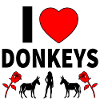 Donkey