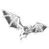 Vampire