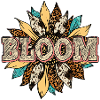 bloom sunflower