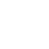 Insurance Agent
