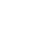 2021 Skull