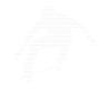 Skate