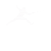 Fencing