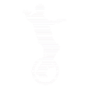 Unicycle
