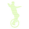 Unicycle