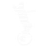 Unicycle