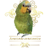 The Orange-winged Amazon