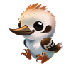 Bébé Kookaburra