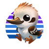 Baby Kookaburra
