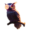 Robot Owl Hybrid Being
