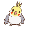Kawaii cockatiel