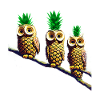 Ananas Eulen