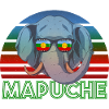 Mapuche