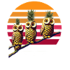 Hiboux ananas