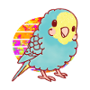 Perruche Kawaii