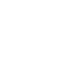 Ski - (12)