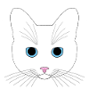 White cat
