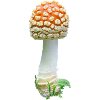Amanita regalis toadstool