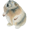 lemming