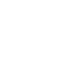 2006